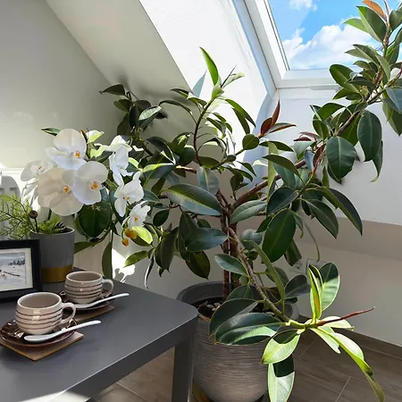 Deerwood-sky Attic With Castle View-no Kitchen Appartement Bled