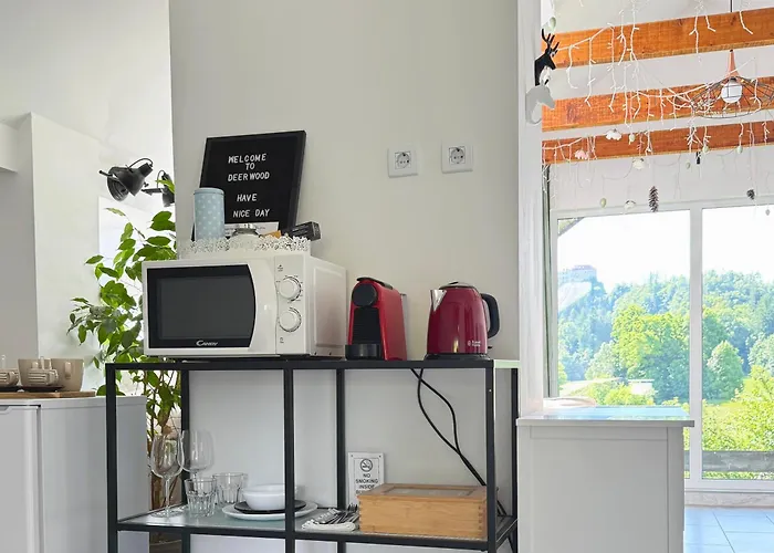 Apartma Deerwood-sky Attic With Castle View-no Kitchen *